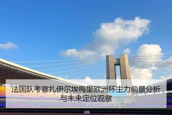 法国队考察扎伊尔埃梅里欧洲杯主力前景分析与未来定位观察
